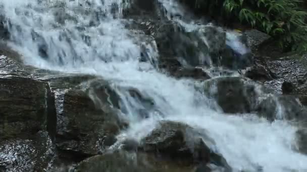 Cachoeira de água doce pura na floresta — Vídeo de Stock