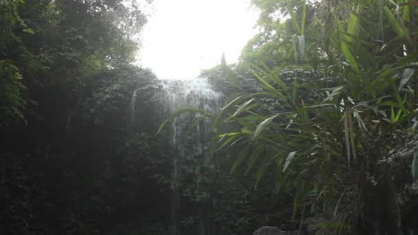 Cascada de agua dulce pura en el bosque — Vídeo de stock