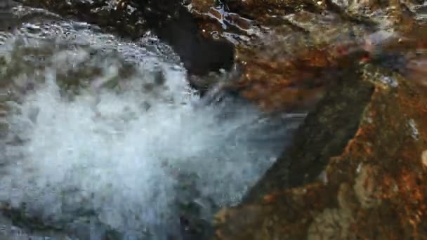 Chute d'eau douce pure dans la forêt — Video