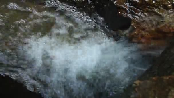 Wasserfall aus reinem Süßwasser im Wald — Stockvideo