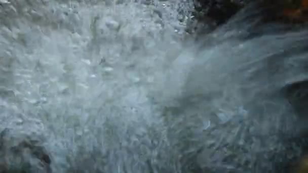 chute d'eau douce pure dans la forêt