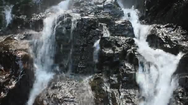 Murni air terjun segar di hutan — Stok Video