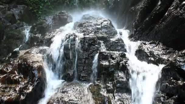 Pure fresh water waterfall in forest — Stock Video