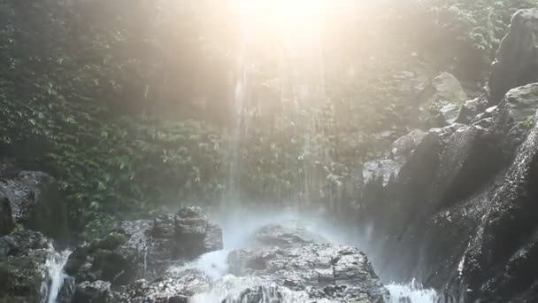 Pure fresh water waterfall in forest — Stock Video