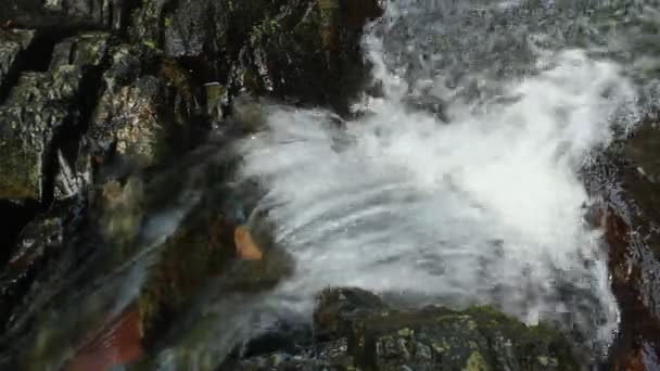 Cachoeira de água doce pura na floresta — Vídeo de Stock