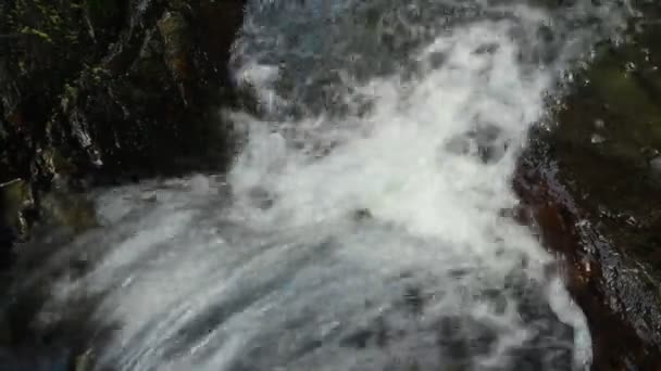 Chute d'eau douce pure dans la forêt — Video