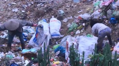 Haiduong, Vietnam, 13 Nisan 2015, Çöp toplayıcı trashes yerleşmişti assorting