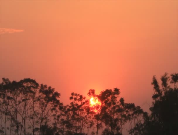 Puesta de sol en el río — Vídeos de Stock