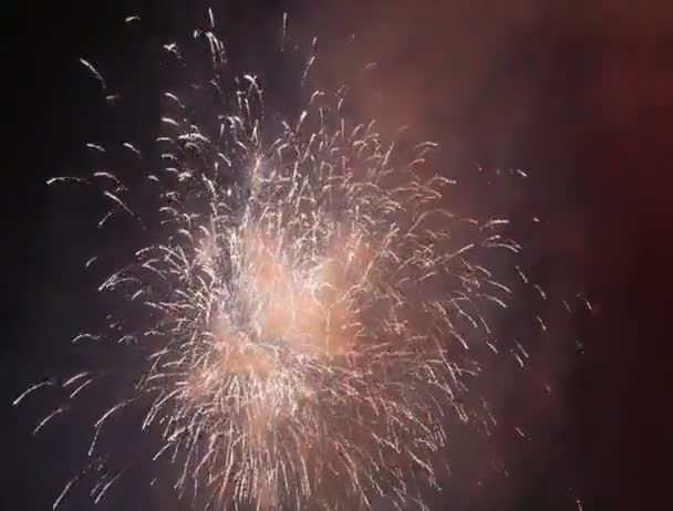 Fuochi d'artificio di anno nuovo — Video Stock