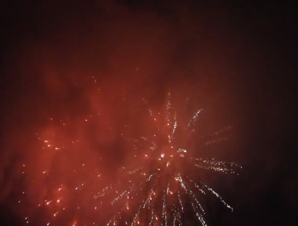 New Year fireworks — Stock Video