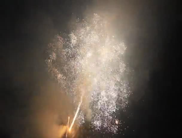 Fogos de artifício ano novo — Vídeo de Stock