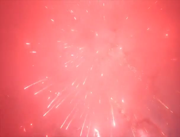 Újévi tűzijáték — Stock videók
