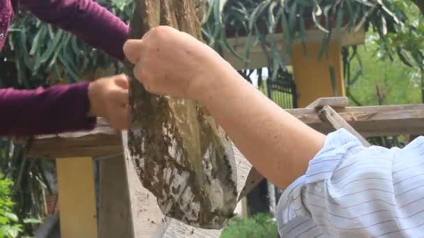 Les gens attrapent abeille avec filet — Video