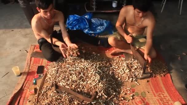 Haiduong, Vietnam, március 18, 2015, az ember vágott fűszernövények késsel — Stock videók