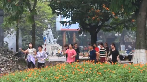 Hanoi, vietnam, märz, 27, 2015, Unbekannte üben im park — Stockvideo