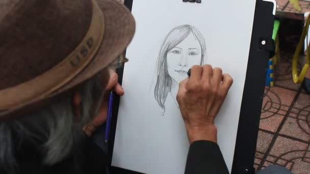 公園で 2015 年 3 月 27 日、画家の肖像画をベトナム ・ ハノイ — ストック動画