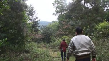 Haiduong, Vietnam, 21 Aralık 2014: insanlar orman bitki örtüsü ziyaret