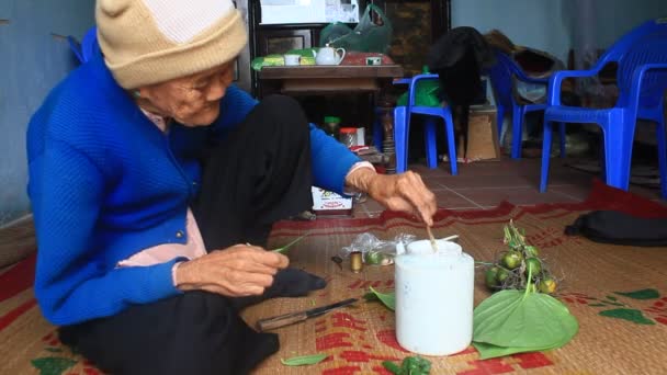 Haiduong, Vietnam, 27 de diciembre de 2014: Mujer haciendo betel con betel y areca. Aduanas de masticar betel es de larga data en Vietnam — Vídeos de Stock