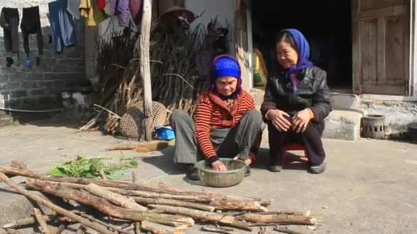 Hai Duong, Vietnam, ledna, 14, 2015: dvě staré ženy zpívat lidové písně — Stock video