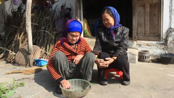 Hai Duong, Vietnam, januari, 14, 2015: två gamla kvinnor sjunga folkvisor — Stockvideo
