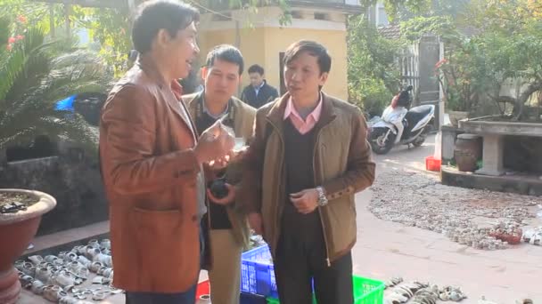 Haiduong, Vietnam, January, 27, 2015: Archaeologists and ceramics in excavation, Chudau — Stock Video