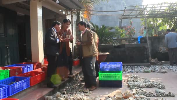 Haiduong, Vietnam, januari, 27, 2015: Archeologen en keramiek in opgraving, Chudau — Stockvideo