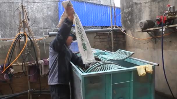 Haiduong, Vietnam, 10 février 2015 : personnes transformant la farine de Kudzu — Video