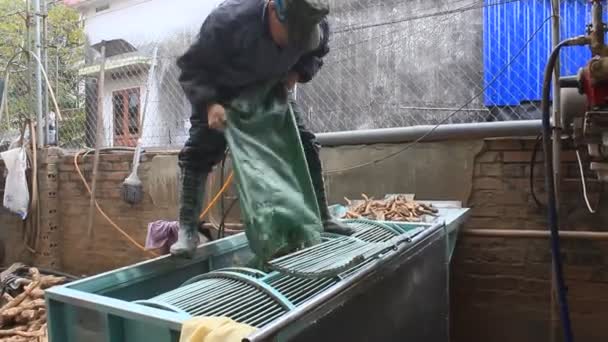 Haiduong, Vietnam, februari, 10, 2015: människor bearbetning Kudzu mjöl — Stockvideo