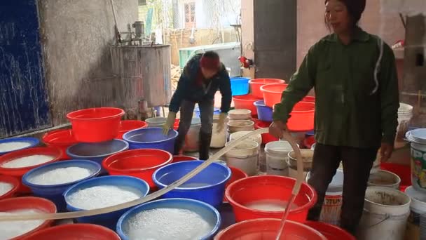 Haiduong, Vietnam, 10 février 2015 : personnes transformant la farine de Kudzu — Video