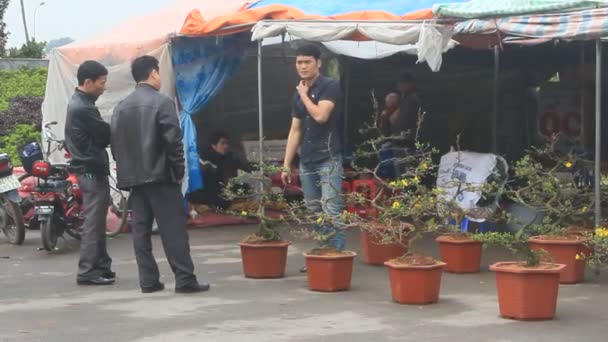 Haiduong, Vietnam, 15 febbraio 2015: persone nel negozio di fiori nel mercato — Video Stock