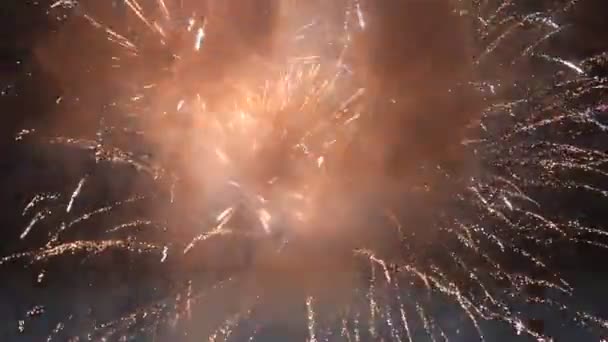 Fuochi d'artificio nel cielo — Video Stock