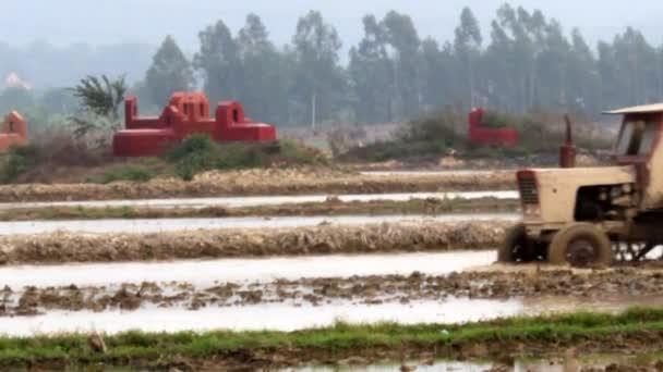 Trekker op veld — Stockvideo