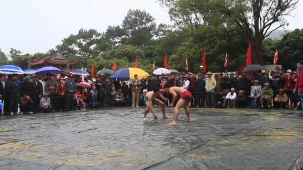 Hai duong, vietnam, 6. März 2015: Ringer messen sich im nationalen Ringen beim con son festival — Stockvideo