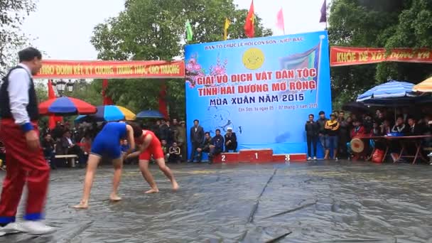 Hai Duong, Vietnam, 6 maart 2015: worstelaars concurreren in nationale worstelen in Con zoon festival — Stockvideo