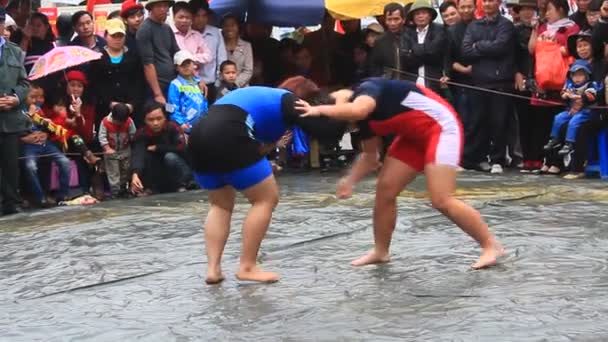 Hai Duong, Vietnam, 6 maart 2015: worstelaars concurreren in nationale worstelen in Con zoon festival — Stockvideo