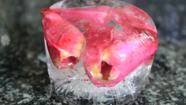 Glace et rose — Video