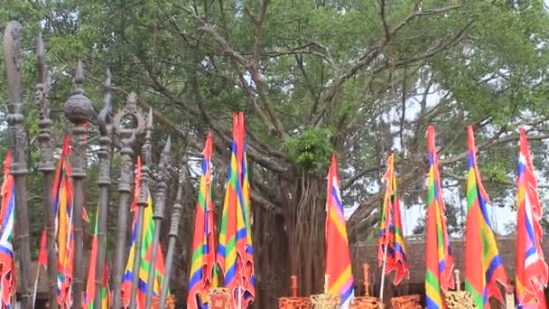 Traditionele vlaggen festival — Stockvideo