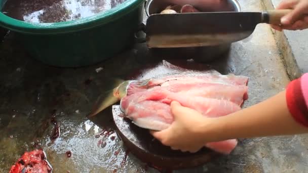 Fish processing — Stock Video