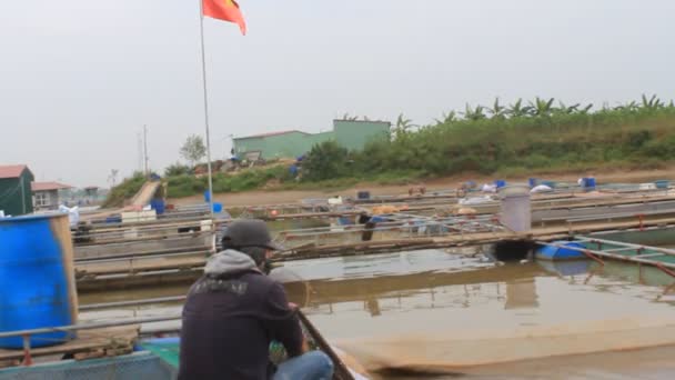 HAI DUONG, VIETNAM, NOVEMBER, 26: fishermen working on fish farm — Stock Video
