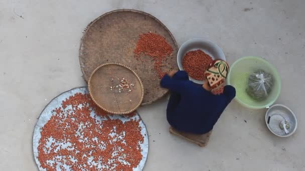 Hai Duong, Vietnam, Kasım, 25: Çiftçi üzerinde 25 Kasım 2014 Hai Duong, Vietnam için tahıl kurutma. — Stok video