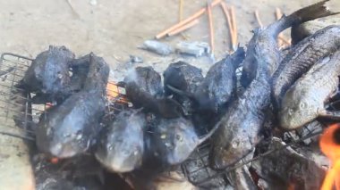 Barbekü ızgara balık