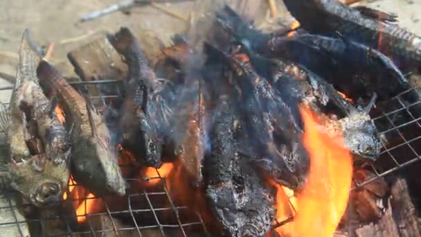 Grelhar peixe no churrasco — Vídeo de Stock