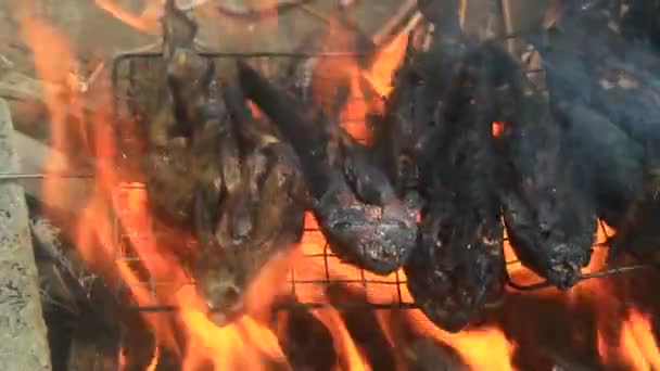 Parrillada de pescado en barbacoa — Vídeo de stock