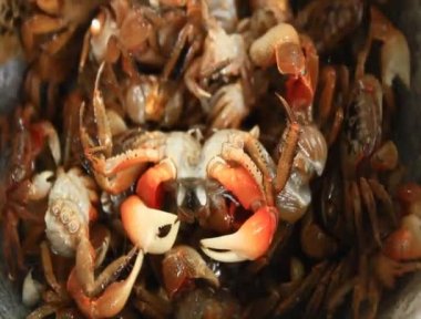 shrim ve yengeç harç ve havaneli gıda işleme