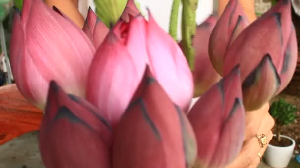 main et bouquet Lotus 