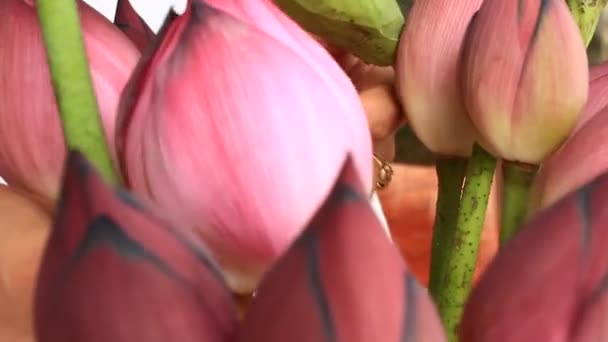 main et bouquet Lotus 