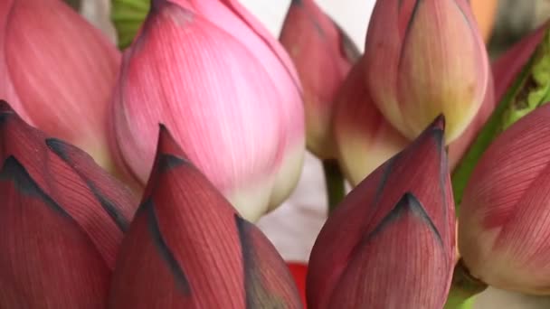 main et bouquet Lotus 