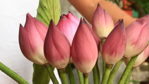 Hand and bouquet Lotus — Stock Video