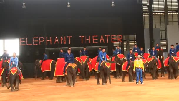 Pattaya, Thaïlande, 14 juillet 2015 : le spectacle des éléphants — Video