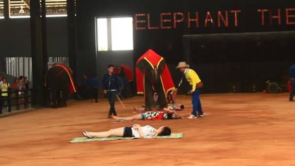 Pattaya, Thaïlande, 14 juillet 2015 : le spectacle des éléphants — Video